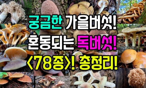 阑尾炎是什么症状在哪个部位-阑尾炎的症状是哪里疼-阑尾炎的症状疼痛的位置图,中国阑尾炎都用什么症状是什么情况网站